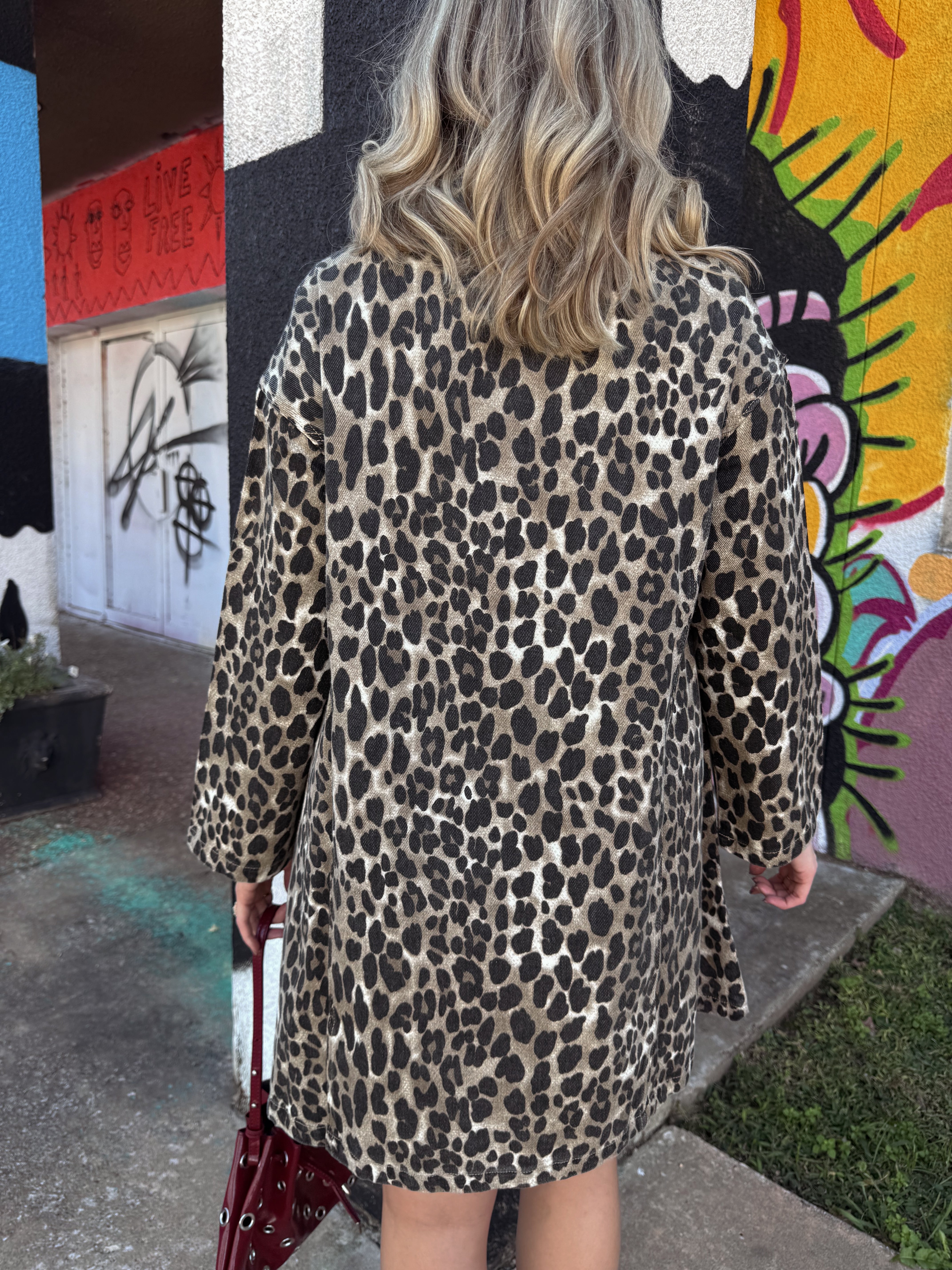 Frnch Chardon Leopard Dress