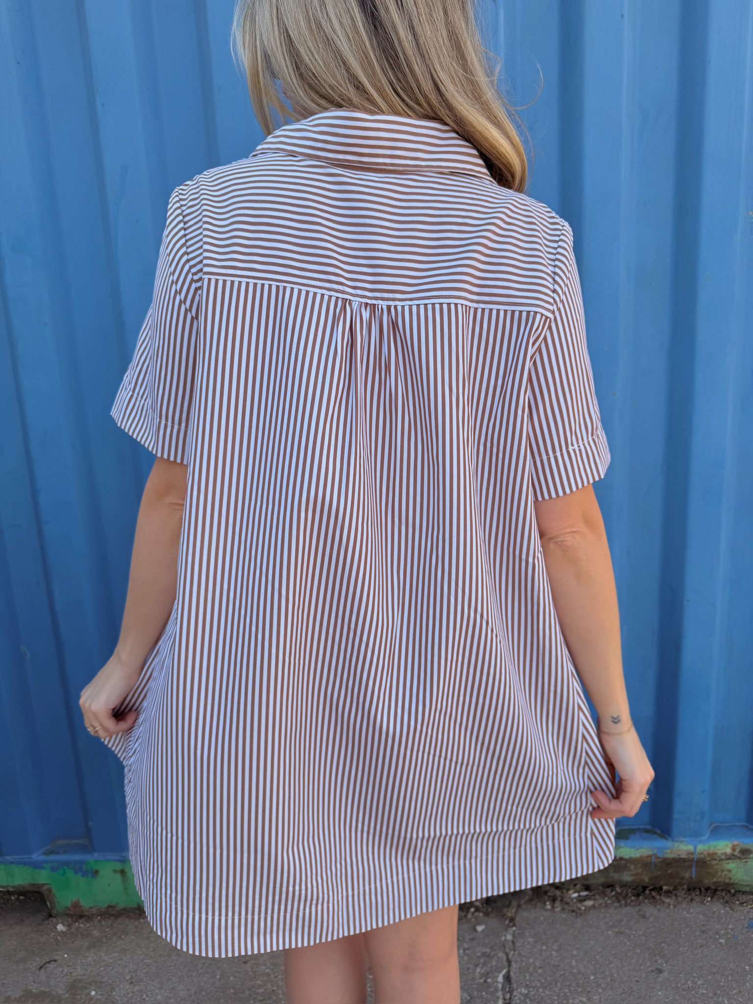 Alyssa A-Line Striped Shirt Dress - Brown Ivory