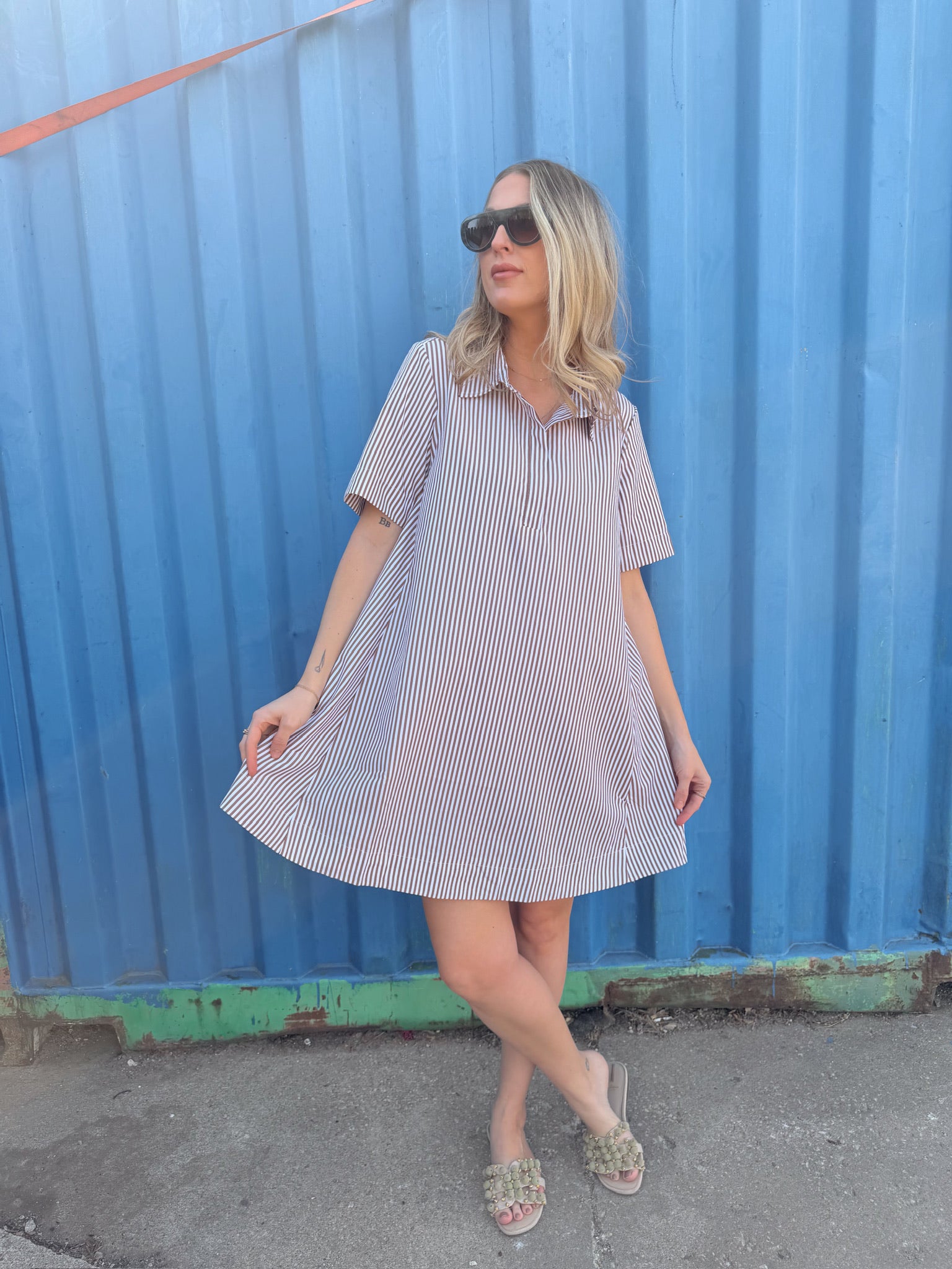 Alyssa A-Line Striped Shirt Dress - Brown Ivory
