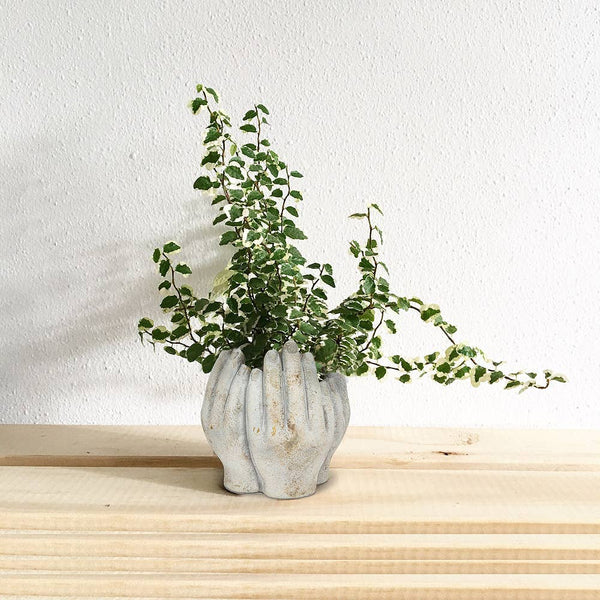 Small Tall Hands Planter - 7"H