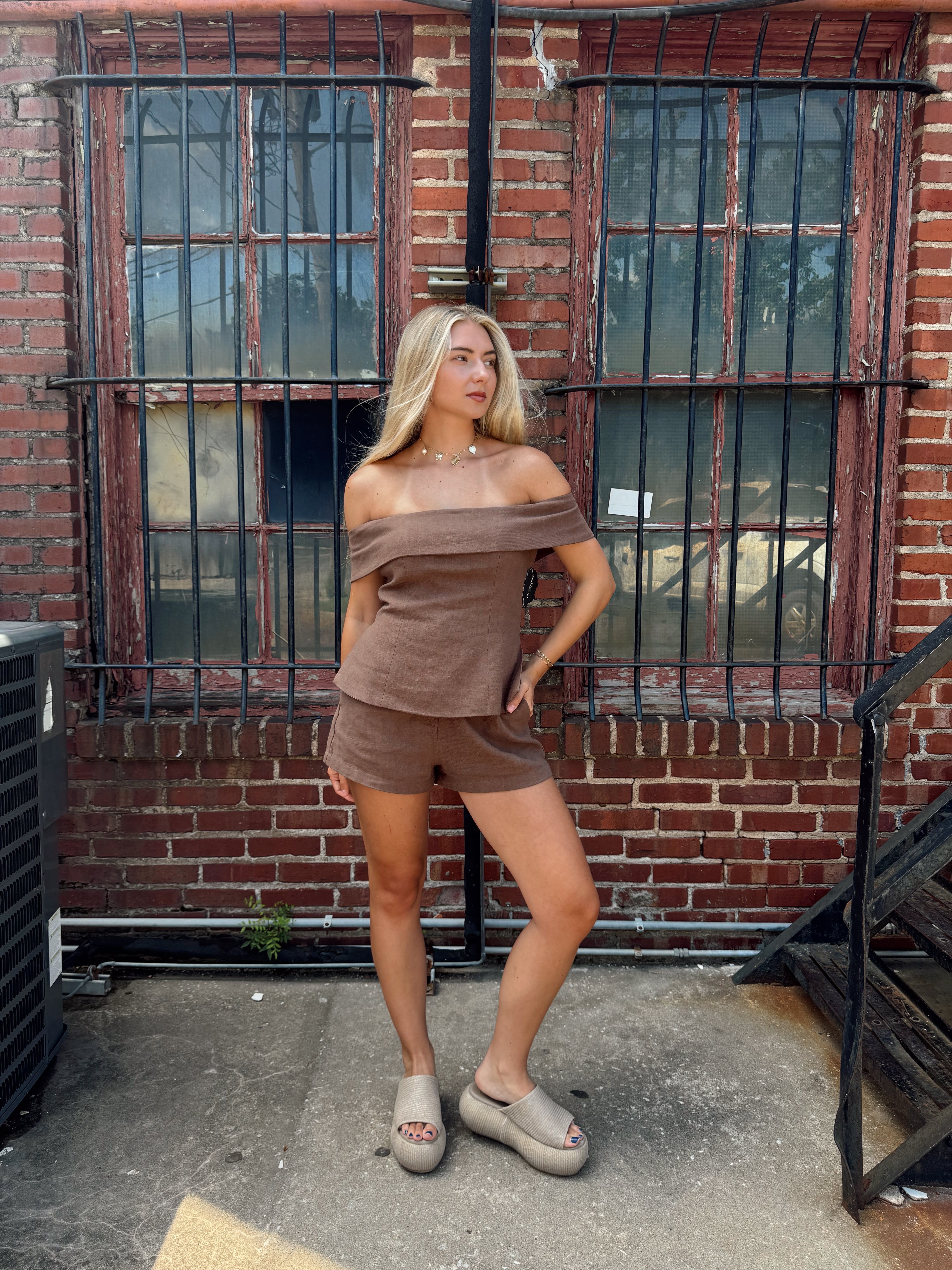 Brynn Brown Linen Tunic Top