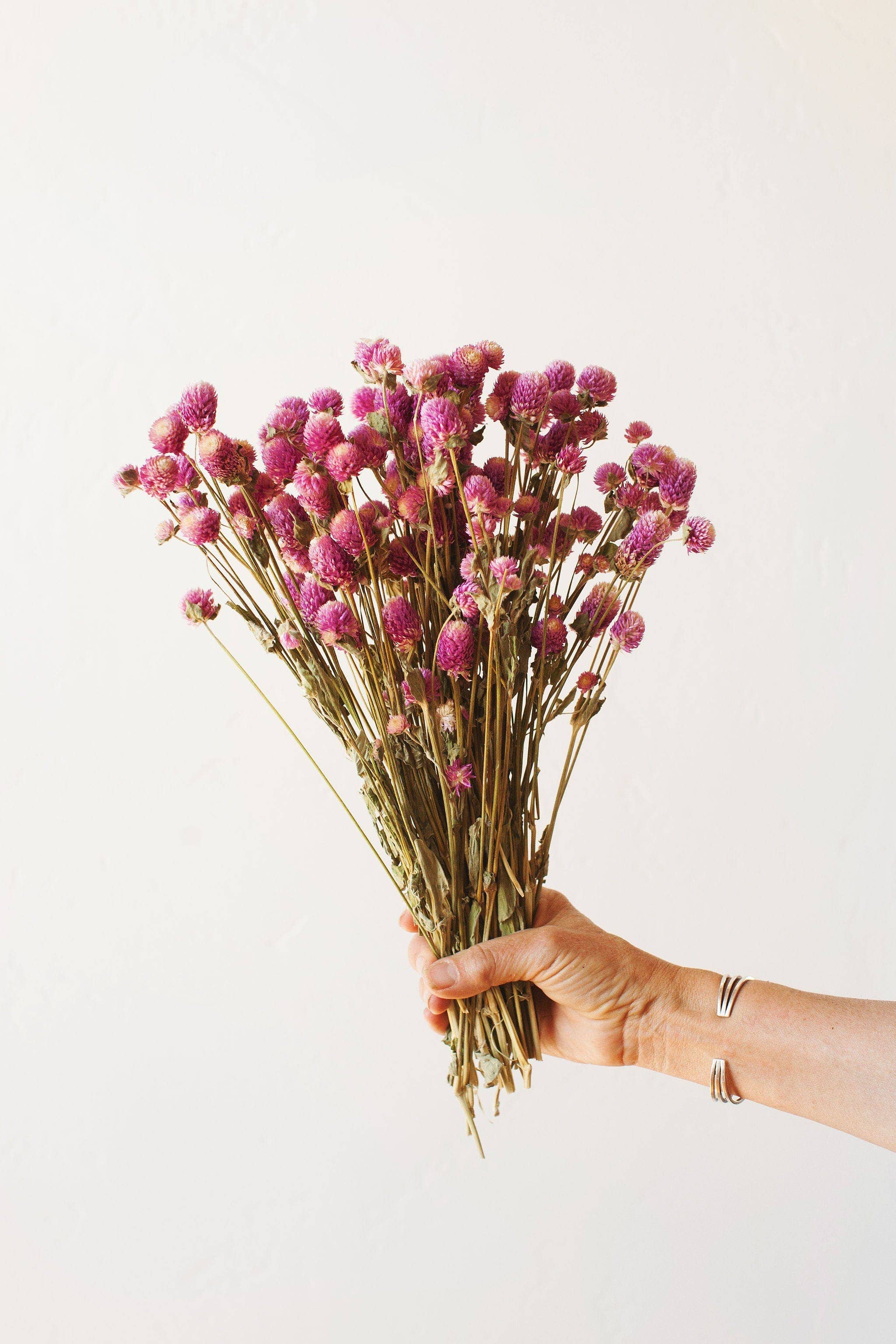 Dried Fuschia Globe Amaranth