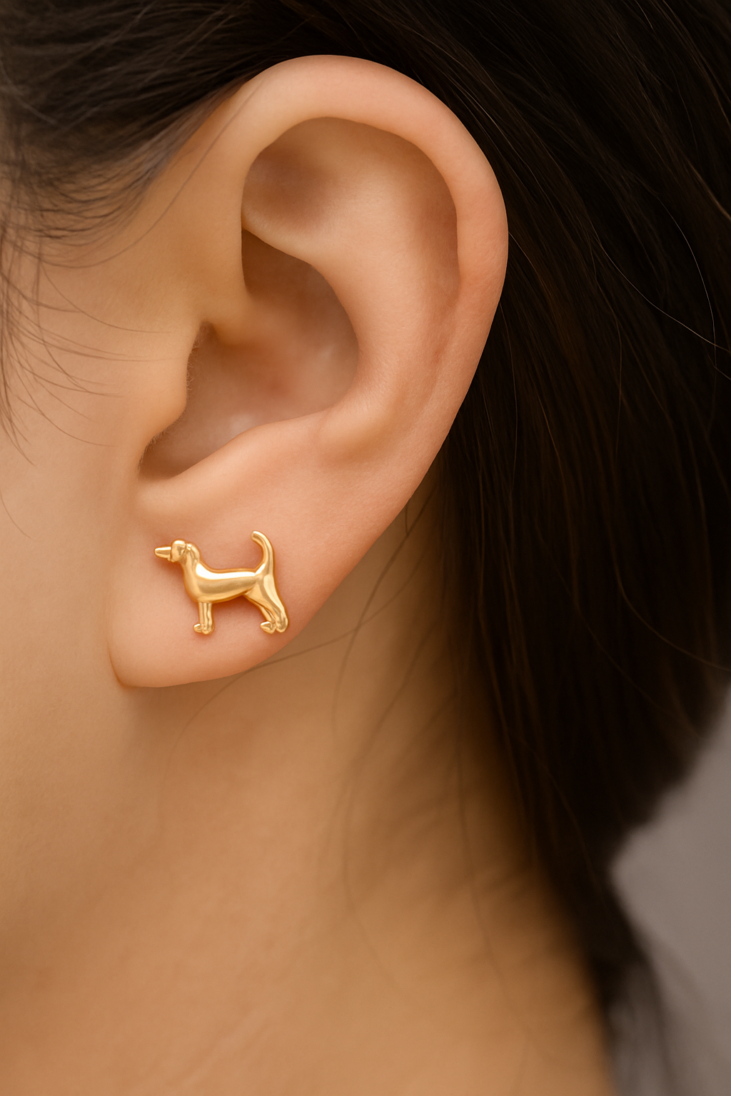 Fortune Dog Studs - 18K Gold Plated