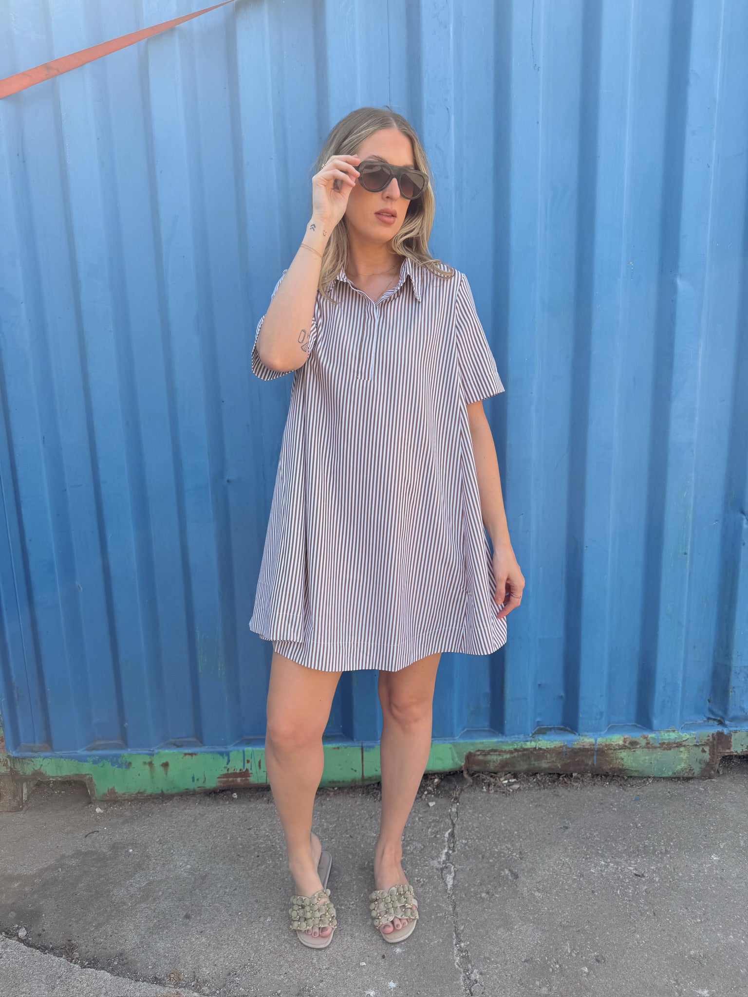 Alyssa A-Line Striped Shirt Dress - Brown Ivory