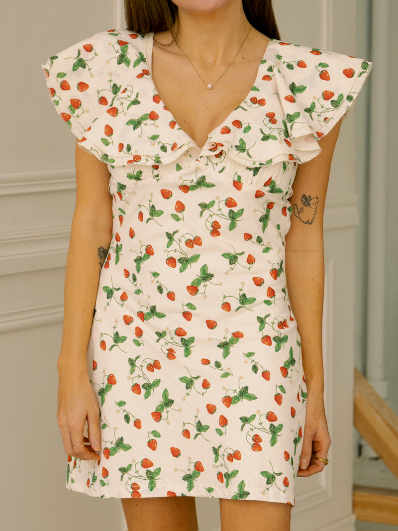 Strawberry Fields Mini Dress