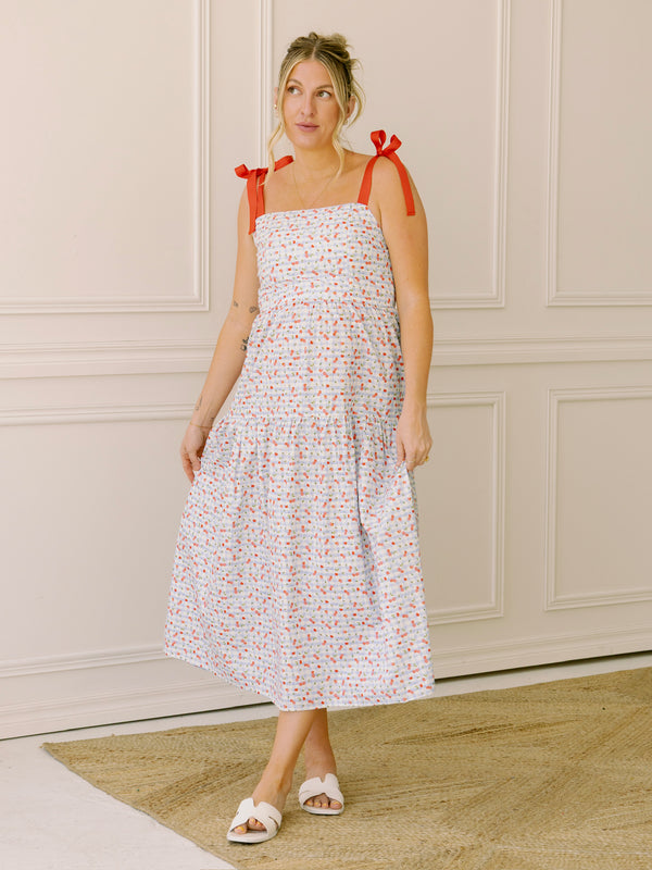 Sincerely Ours Cherry Check Alexa Dress
