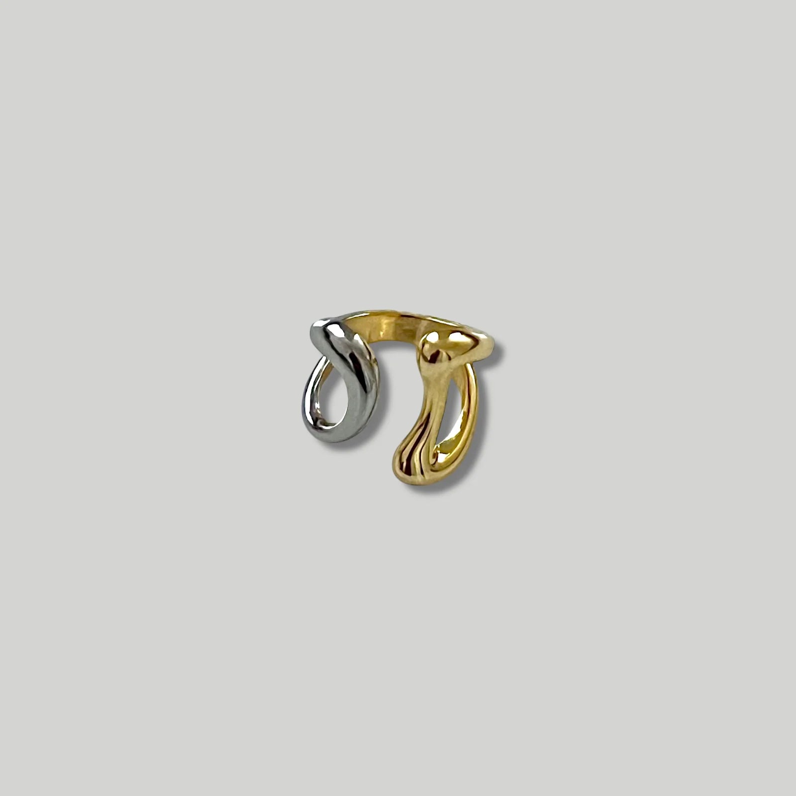 Filosophy Sabine Ring