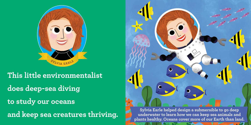 This Little Environmentalist by Joan   Holub: Board Books; 26 pages / English