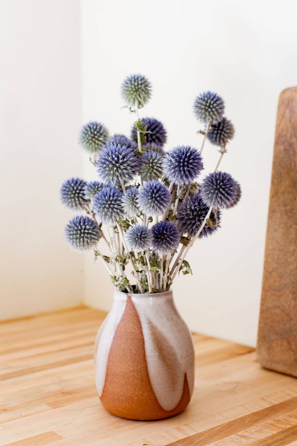 Dried Blue Globe Thistle