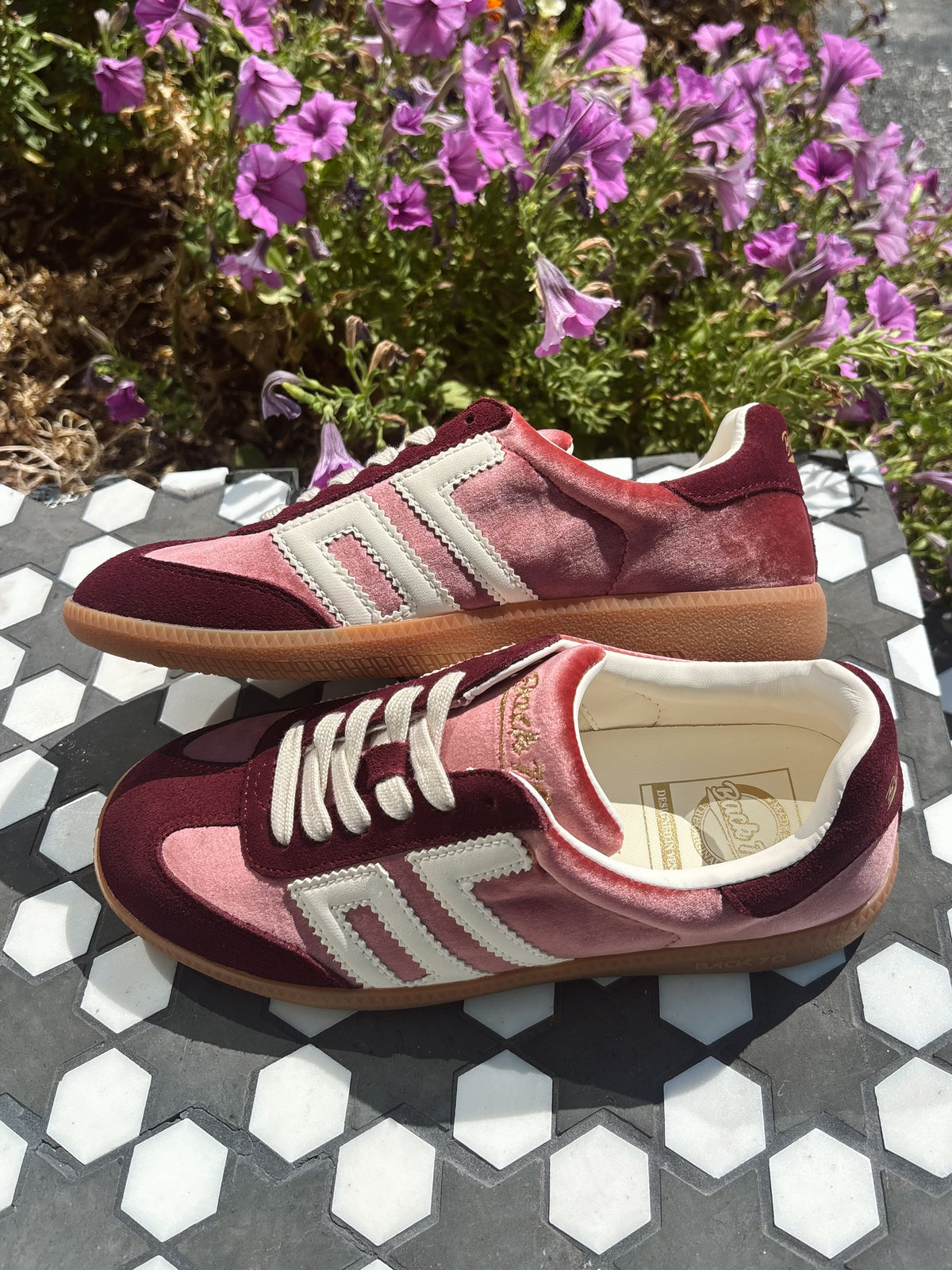 Back 70 Cloud Sneaker - Velvet Wine Butter