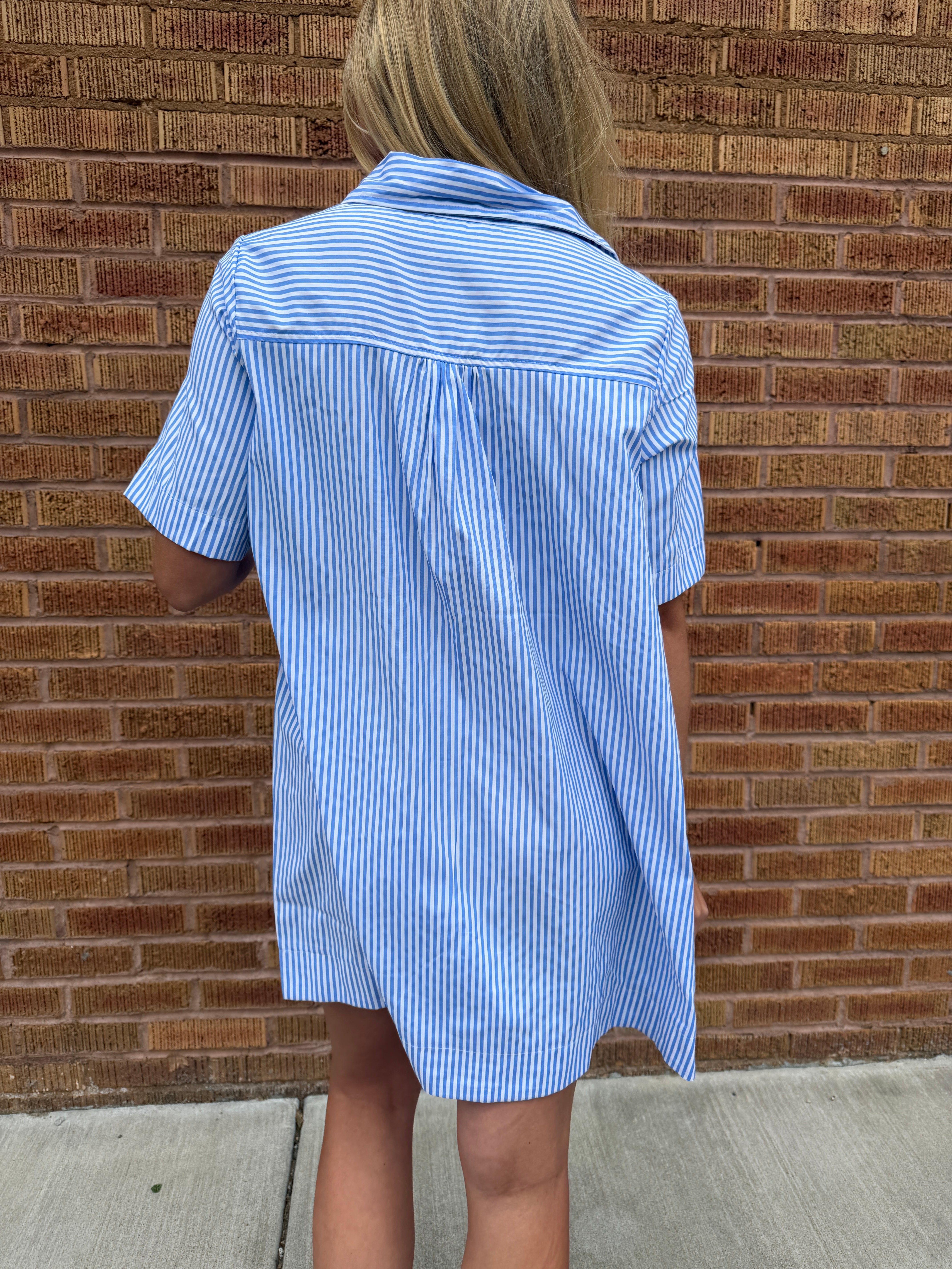 Alyssa A-Line Striped Shirt Dress - Blue Ivory