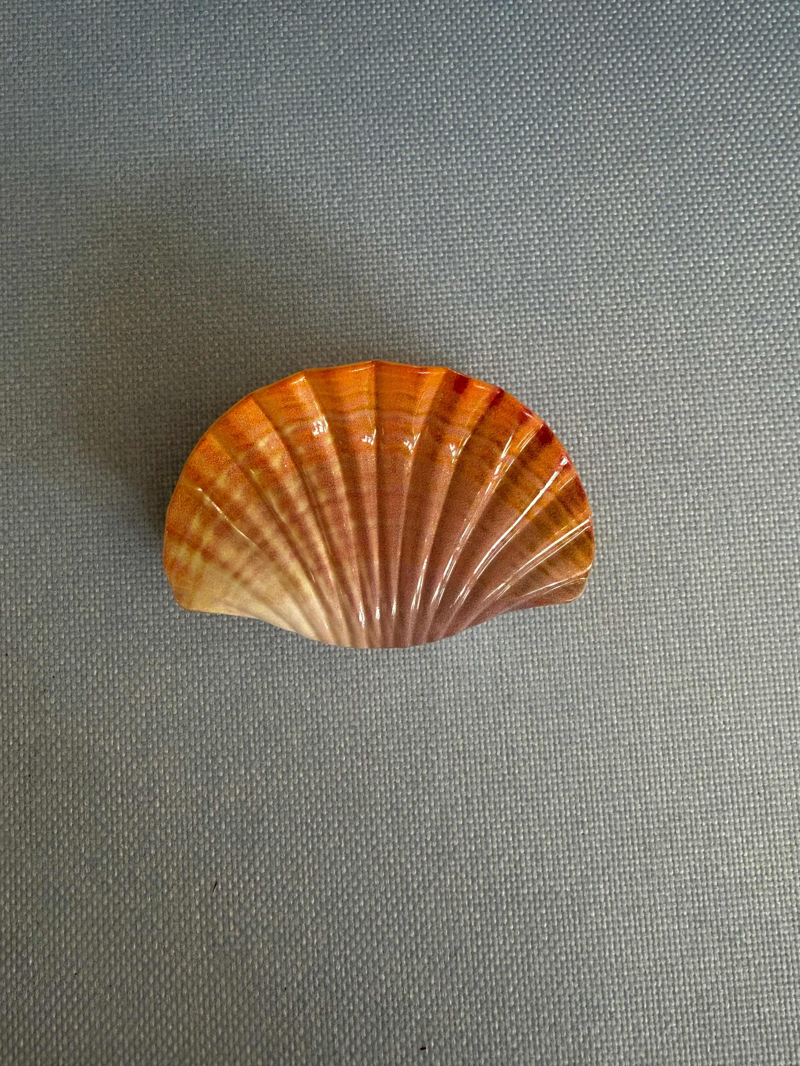 Seashell Hairclip