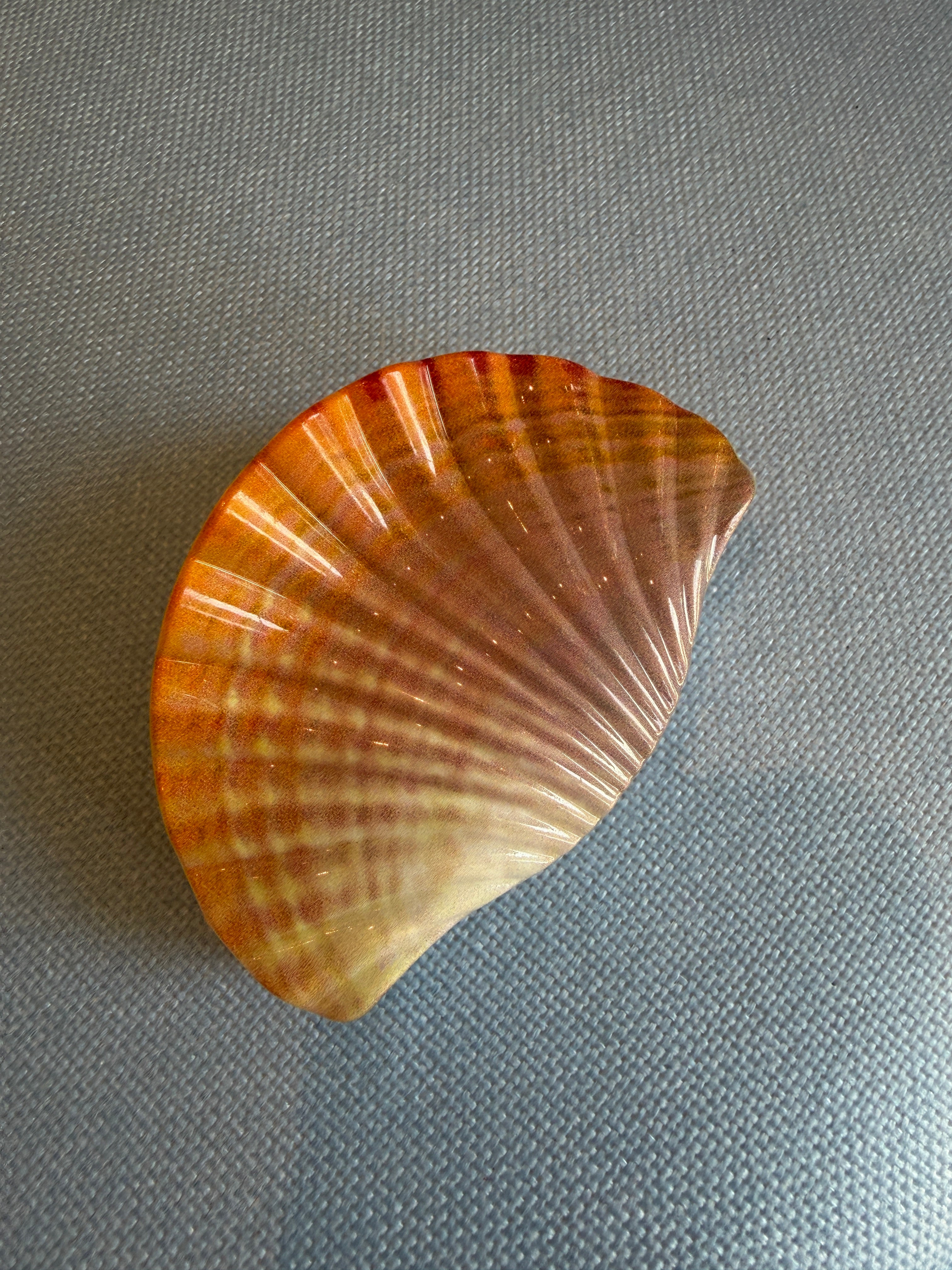 Seashell Hairclip