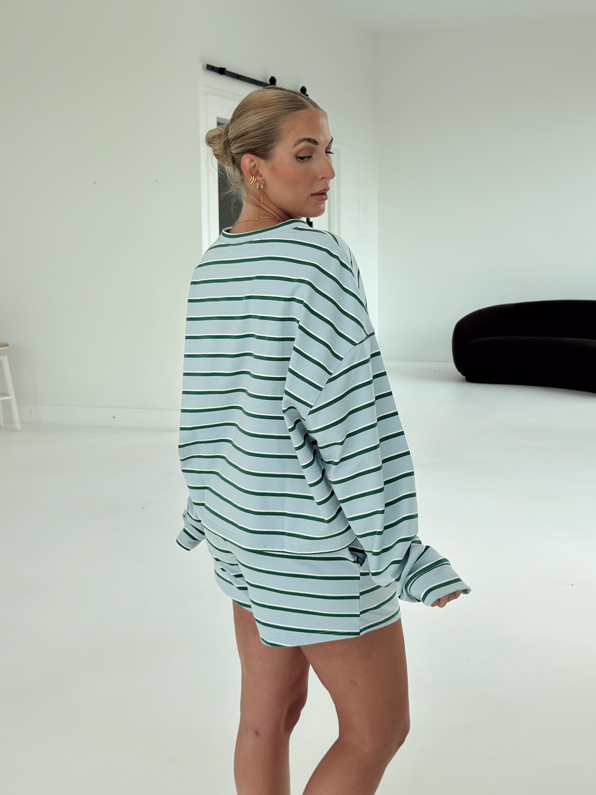Crosby Stripe Shorts - Baby Blue and Green