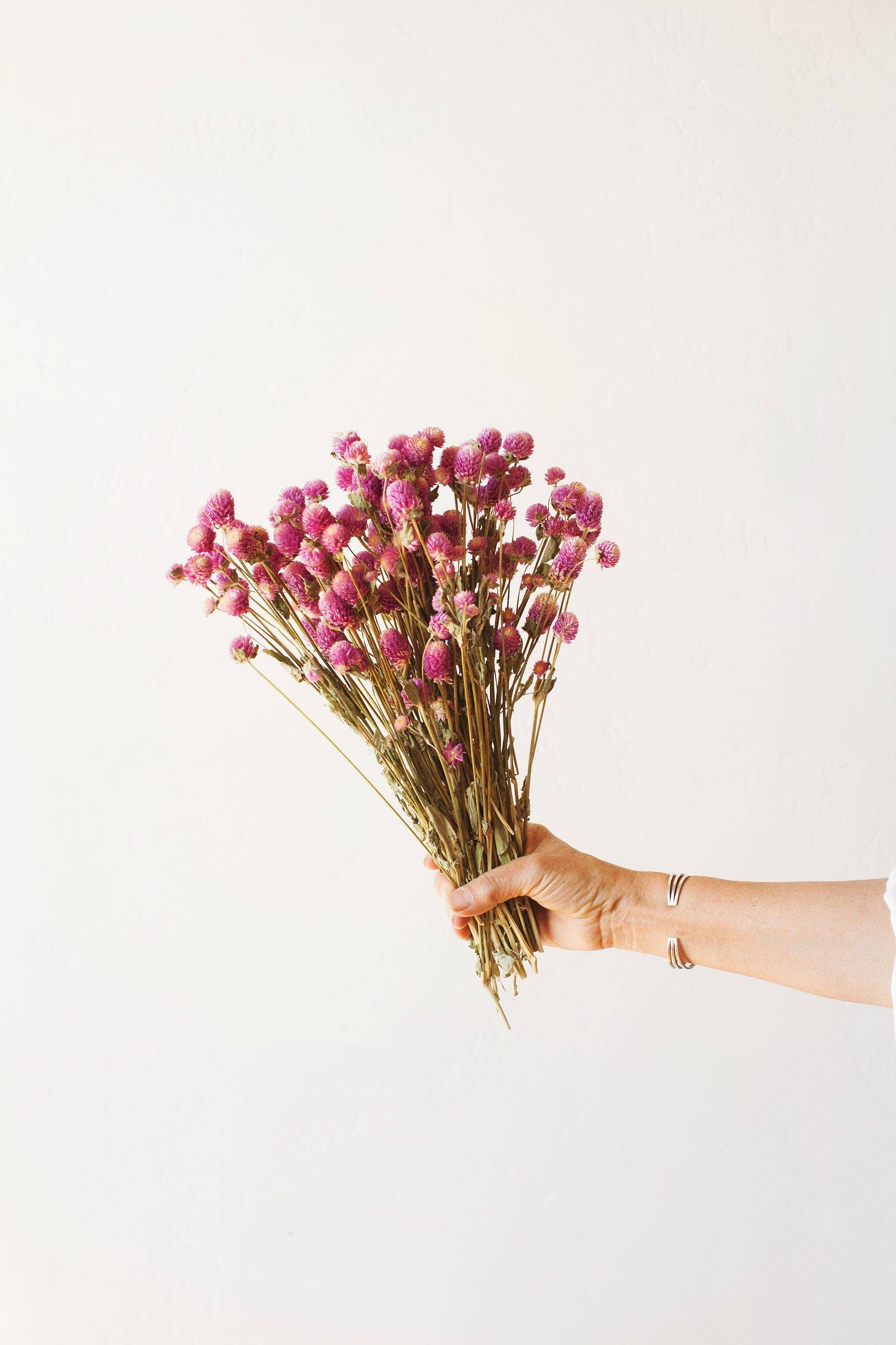 Dried Fuschia Globe Amaranth