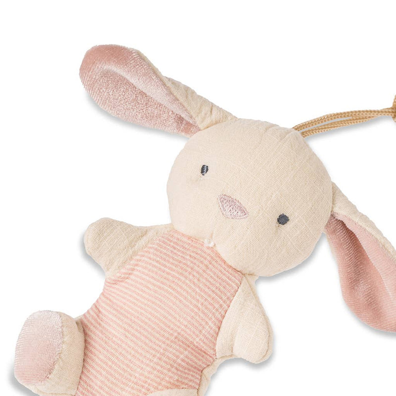 Bitzy Pal Natural Rubber Pacifier & Plush: Bunny