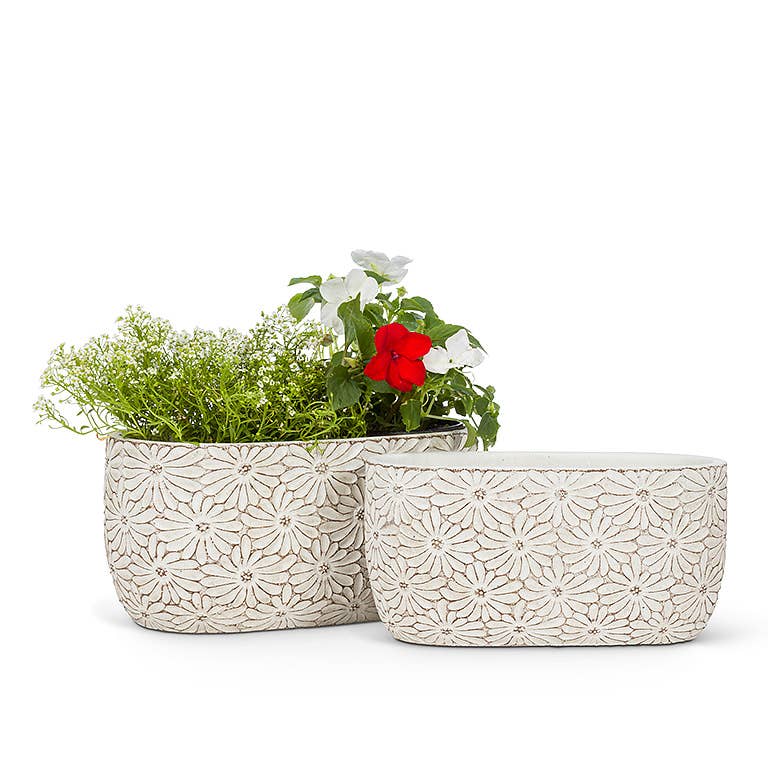 White Daisy Oval Planter